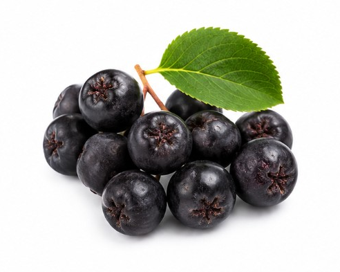 Aronia Pulver