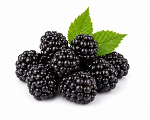 Blackberry Pulver